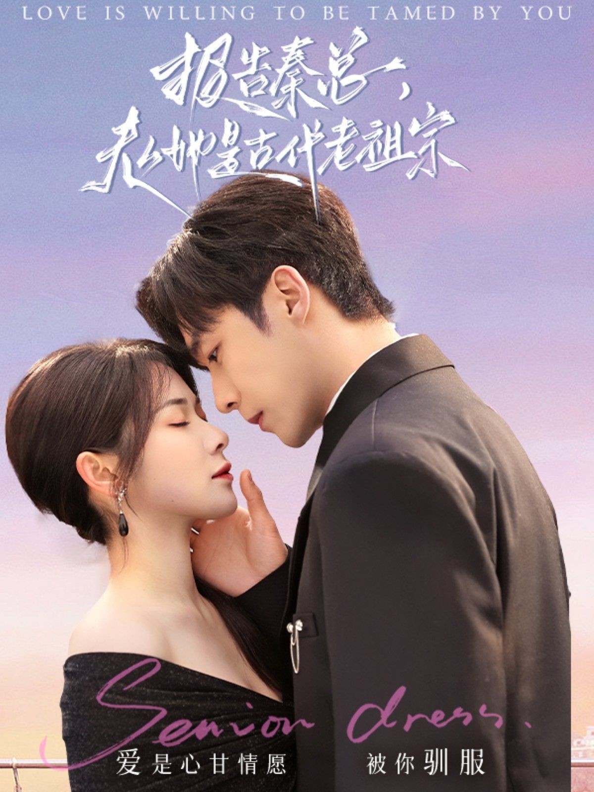 报告秦总，夫人她是古代老祖宗(全集)