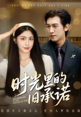 时光里的旧承诺，重逢是场盛大告白(全集)